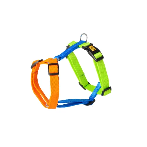 Dingo Szelki Active Guard