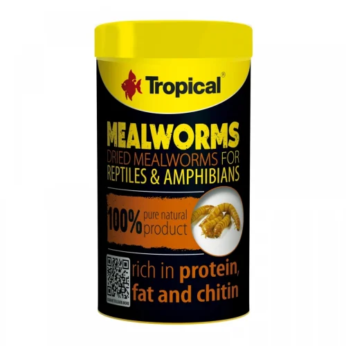 Tropical Meal Worms