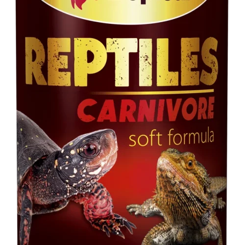 Tropical Reptiles Carnivore