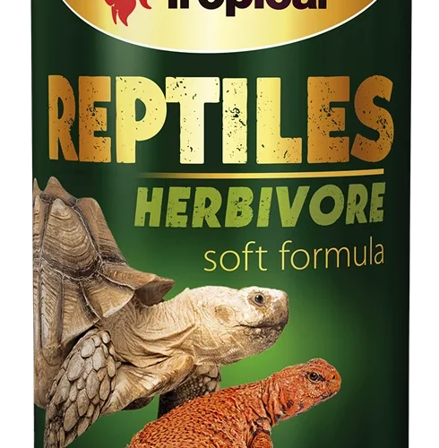 Tropical Reptiles Herbivore